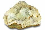 Green, Bladed Prehnite Crystals with Quartz - Morocco #255506-1